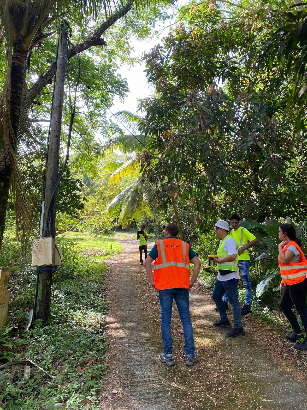 InfraScoutX : le déploiement fibre d’Orange en Martinique, simplifié pour Sogetrel